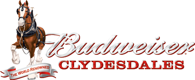 Budwseiser Clydesdales